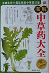 中草药图片大全