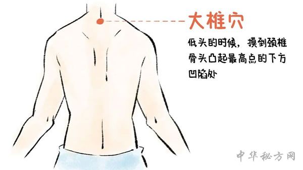 大椎穴的准确位置图