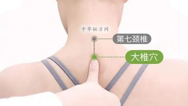 大椎穴位位置图