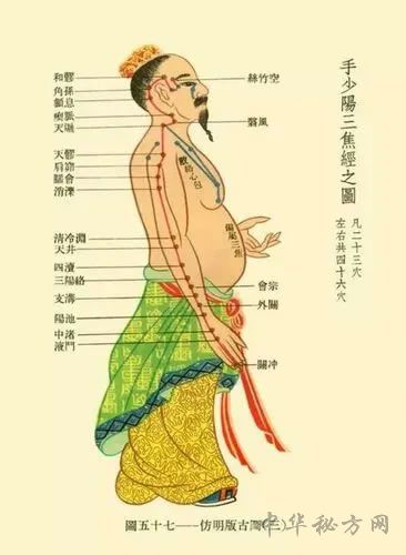 打通经络活出健康