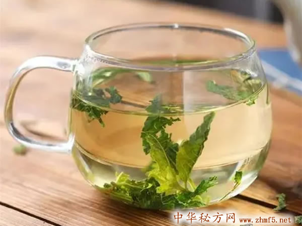 薄荷泡水的功效