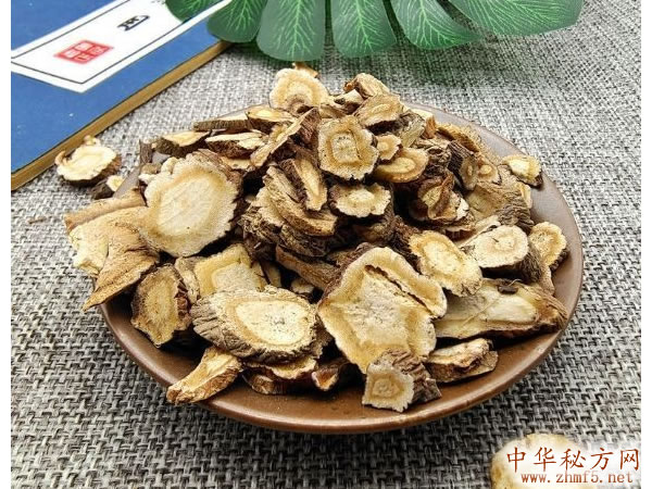中药材前胡图片