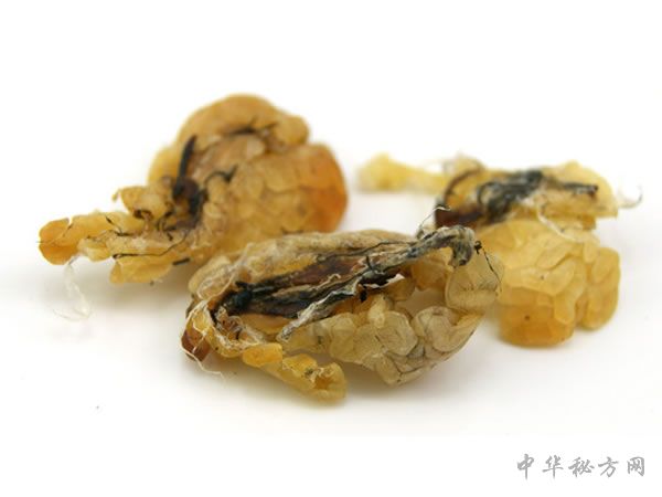 蛤蟆油的图片
