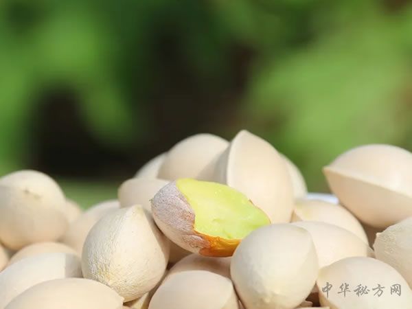 白果的功效与作用