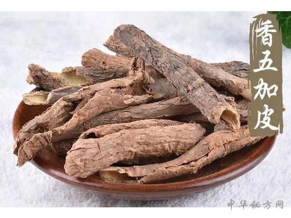 香加皮的功效与作用