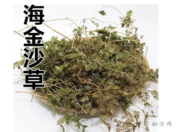 海金沙的功效与作用