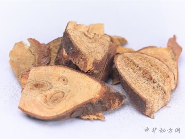 松节的图片