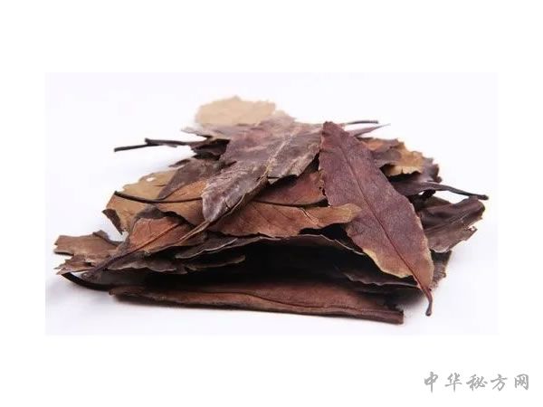 四季青图片