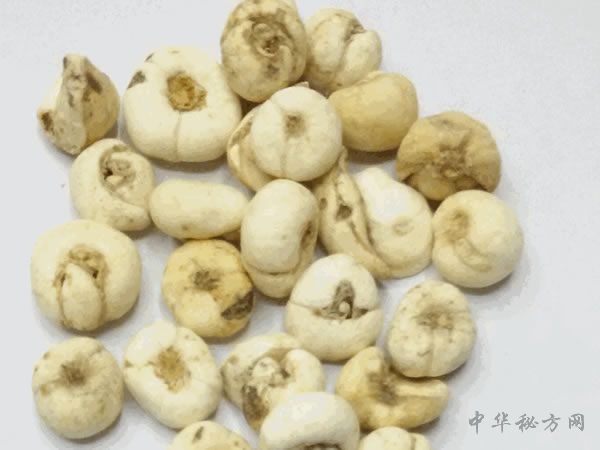 平贝母图片