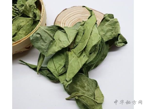 龙脷叶图片