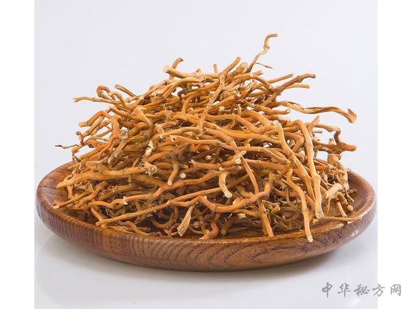 鱼腥草