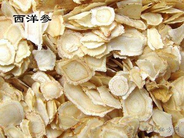 西洋参