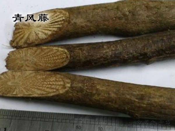 青风藤