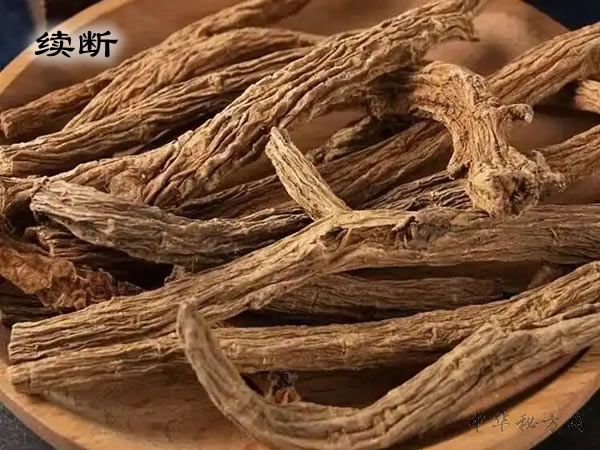 续断