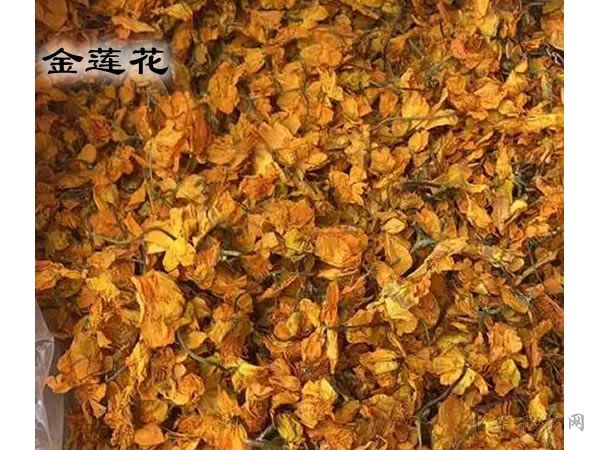 金莲花