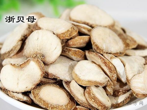 中药浙贝母