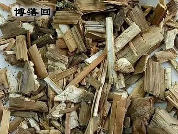 中药博落回