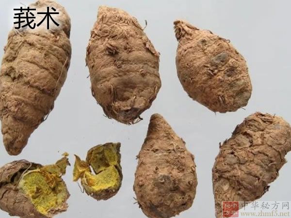 莪术