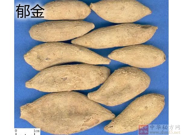 郁金