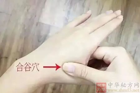 合谷穴 太冲穴的位置图