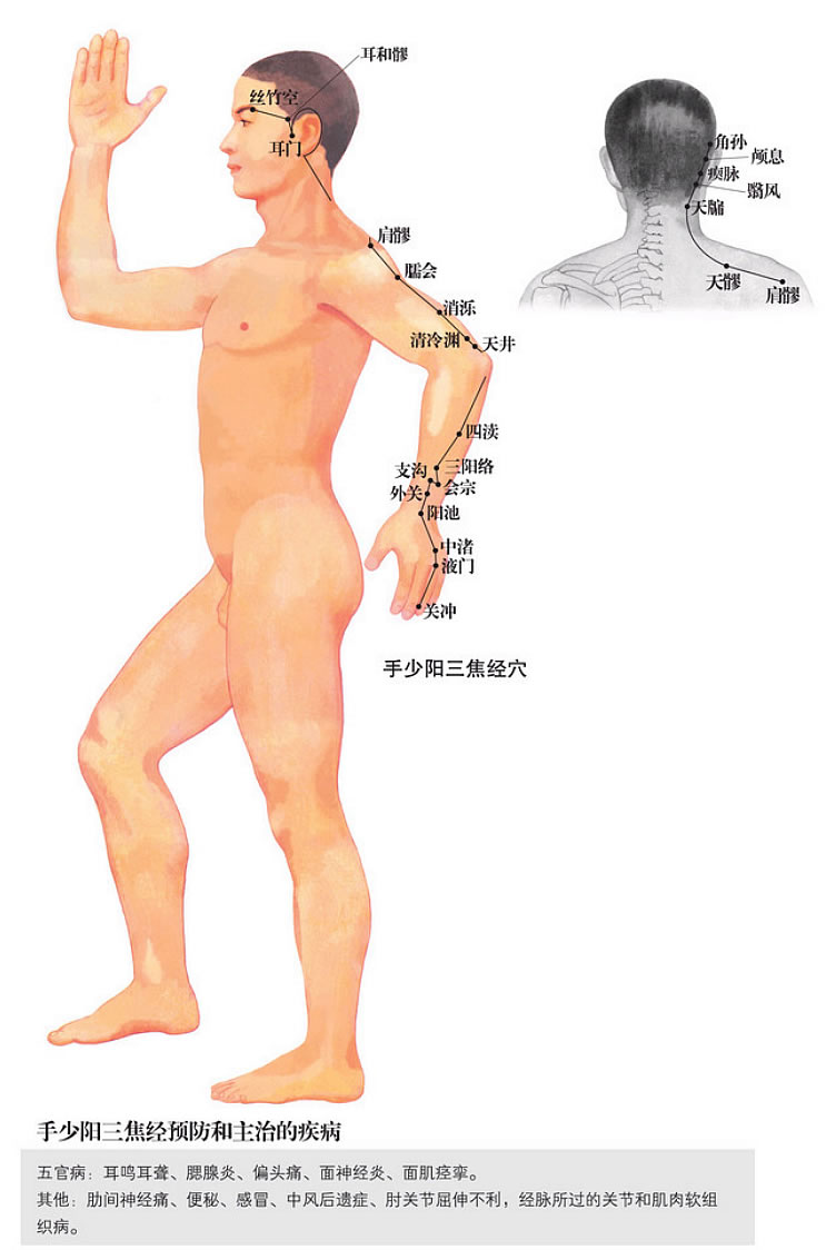 手少阳三焦经穴位图