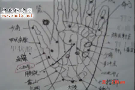 按摩治高血压快捷验方