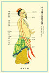 穴位图