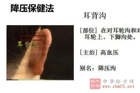 降压沟的准确位置图
