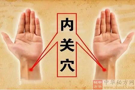 内关穴的位置图