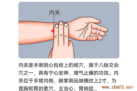 内关穴位的位置