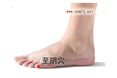 至阴穴