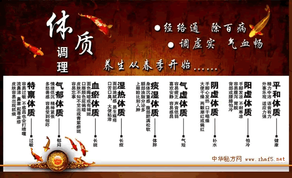 九种体质图表解