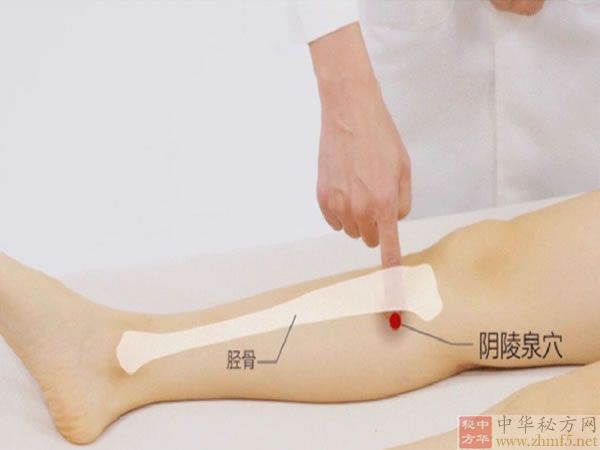 阴陵泉穴位位置图