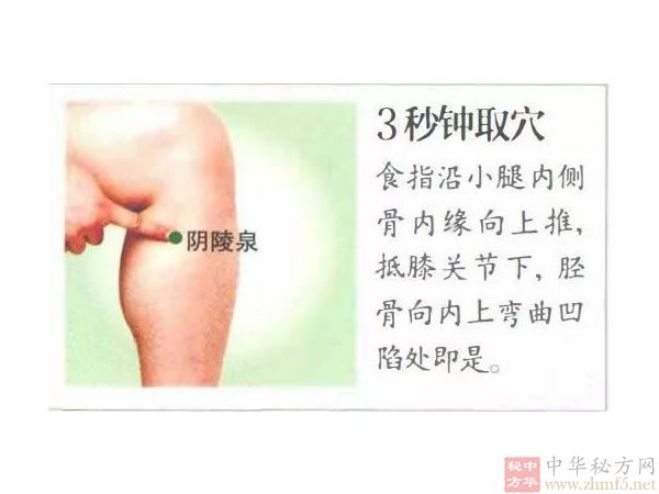 阴陵泉穴的位置
