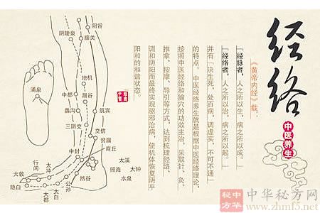经络养生防疾病，简单有效不花钱