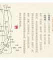经络养生防疾病，简单有效不花钱