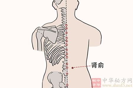 肾俞穴