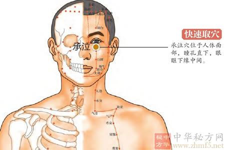 承泣穴