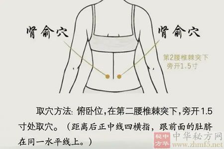 俞穴位的位置