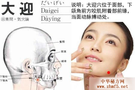 大迎穴的解剖位置图