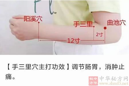 常敲手三里助白领远离颈椎病