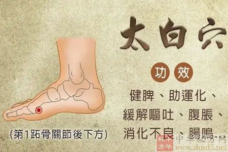 太白穴位的解剖位置图