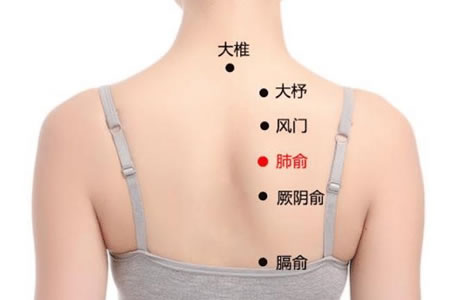 肺俞穴位位置图