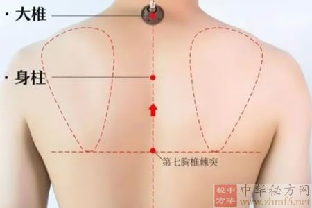 身柱穴位位置图