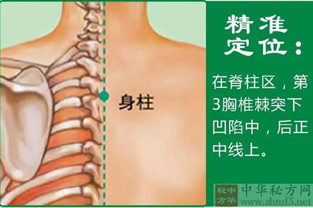 身柱穴