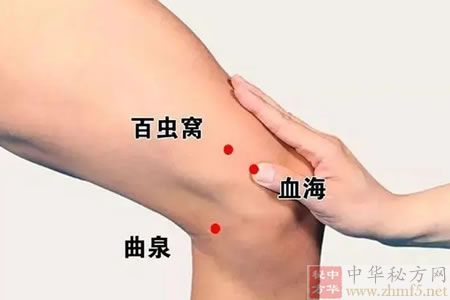 百虫窝穴位位置图