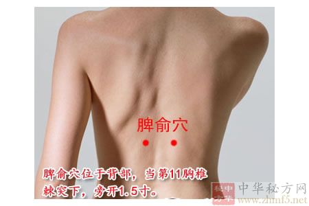 脾俞穴位位置图