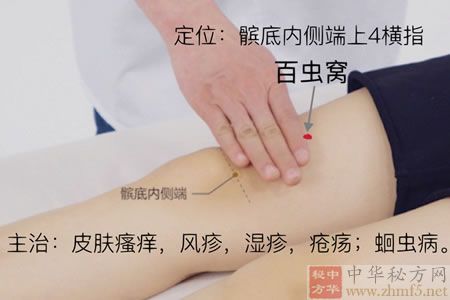 百虫窝穴位的位置