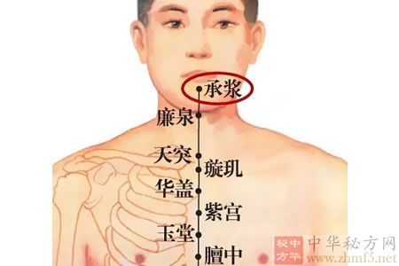 承浆穴的位置图