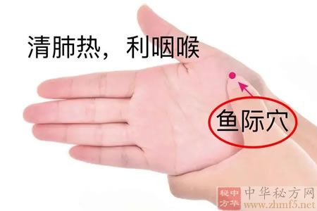 鱼际穴的准确位置图